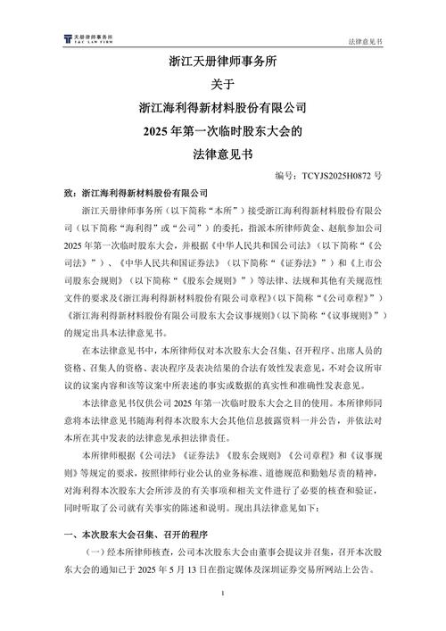浙江海利得新材料股份有限公司 独立董事 关于控股股东占用公司资金 说明 _ 浙江海利得新材料股份有限公司 独立董事 对外担保情况 说明 _浙江海利得新材料股份有限公司