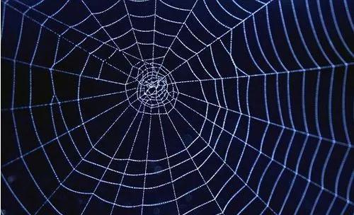 套路贷公司产生原因_714高炮平台 套路贷犯罪集团 甜兔APP伪装贷款