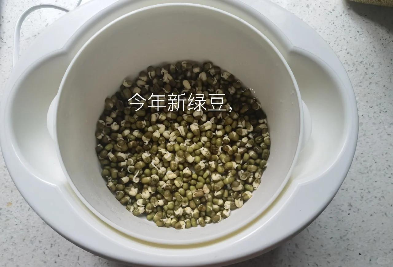 自制酸奶_豆芽机详细使用说明书_酸奶机发面