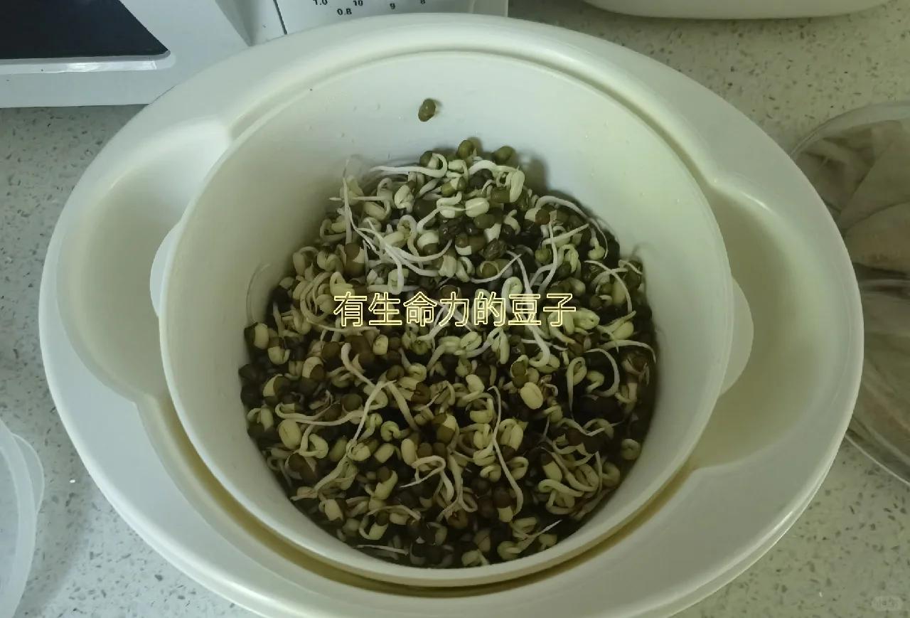 自制酸奶_酸奶机发面_豆芽机详细使用说明书