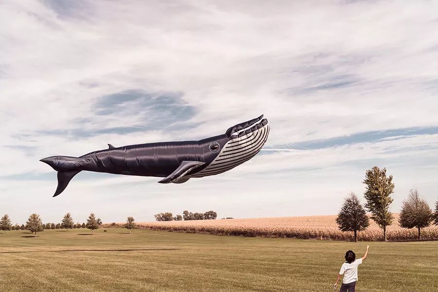 社会化营销兴起，微博超级粉丝通怎么助力企业营销？