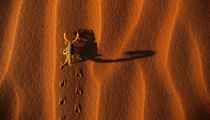 拖欠平安银行贷款七天会怎样？别慌，先了解这些后果与应对办法