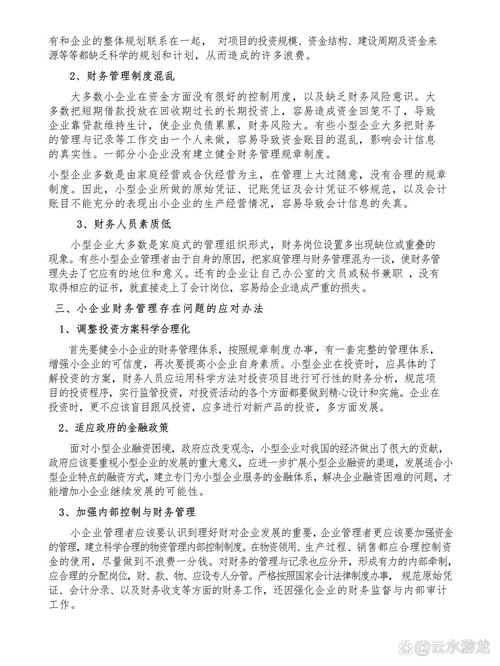 中小企业财务管理：问题分析、对策研究与未来发展展望
