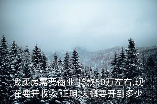 我买房需要商业 贷款50万左右,现在要开收入 证明,大概要开到多少