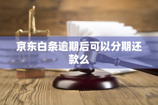 京东白条逾期后可以分期还款么