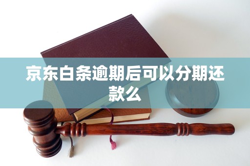 京东白条逾期后可以分期还款么