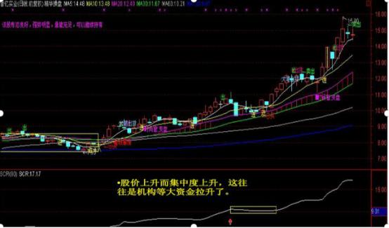 短线操作技巧之复盘方法_怎么看股票主力和散户的比例_牛市与股灾下的短线操作技巧