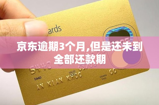 京东逾期3个月,但是还未到全部还款期
