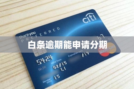 白条逾期能申请分期