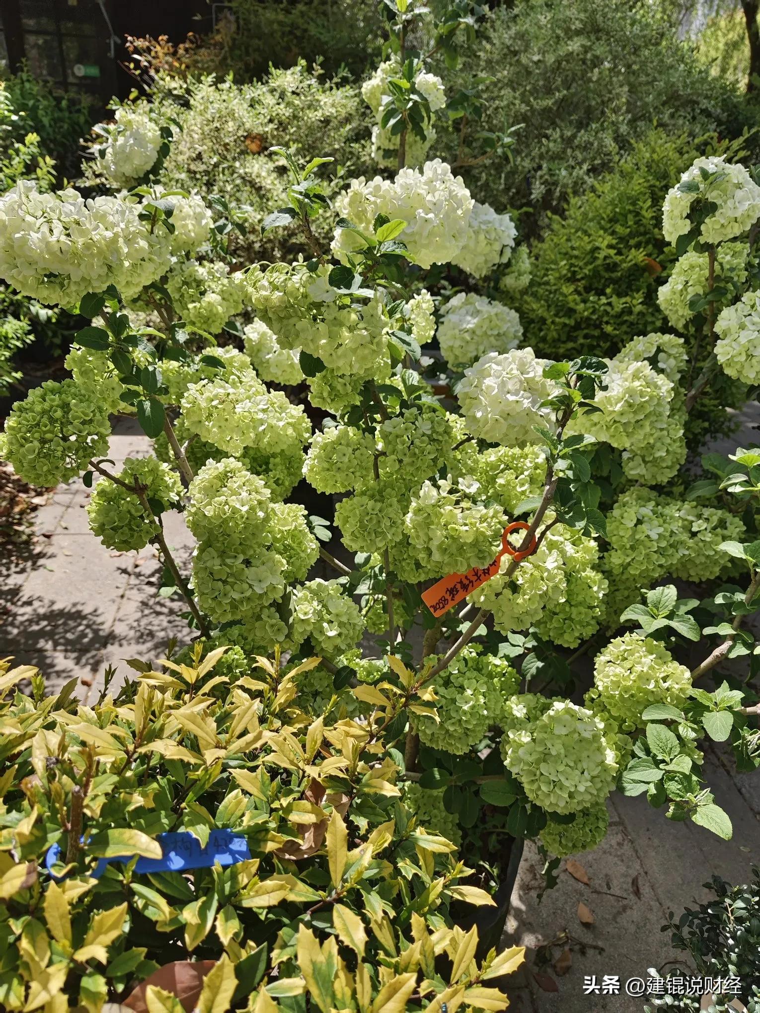 中国外汇储备管理机构_国家外汇管理局投资策略_外汇储备是中央银行的资产吗