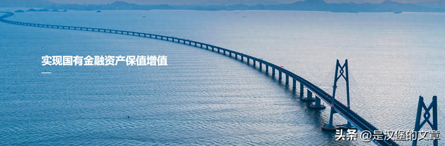 中央汇金：从危机救火到生态构建，国有金融资本的核心力量