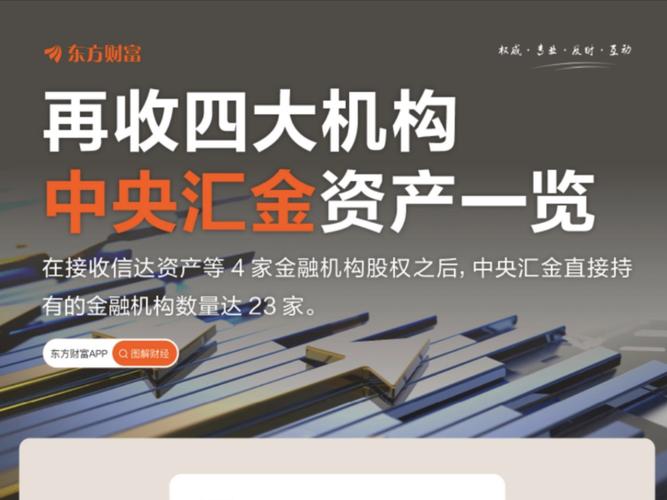 外汇储备是中央银行的资产吗_中央汇金历史沿革分析_中央汇金核心职能解析