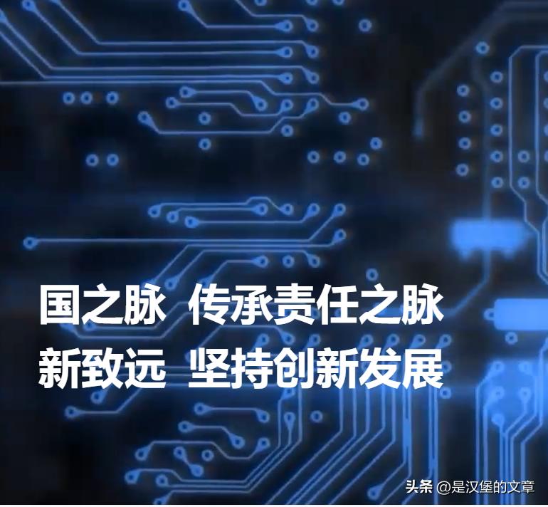中央汇金核心职能解析_中央汇金历史沿革分析_外汇储备是中央银行的资产吗