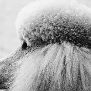 高利贷利息超过多少无效_捷信贷3万要还多少钱_民间借贷利息计算方法