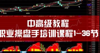 职业操盘手培训课教学视频