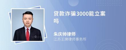 贷款诈骗3000能立案吗