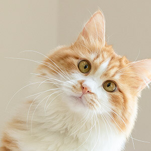 捷信贷3万要还多少钱_捷信贷提前还款利息_捷信贷贷款利息计算