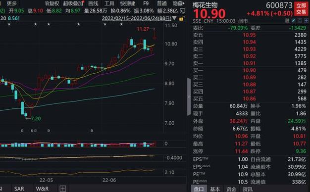 国美金融科技港股股价分析_国美金融 是活动的基础_国美金融科技市盈率对比