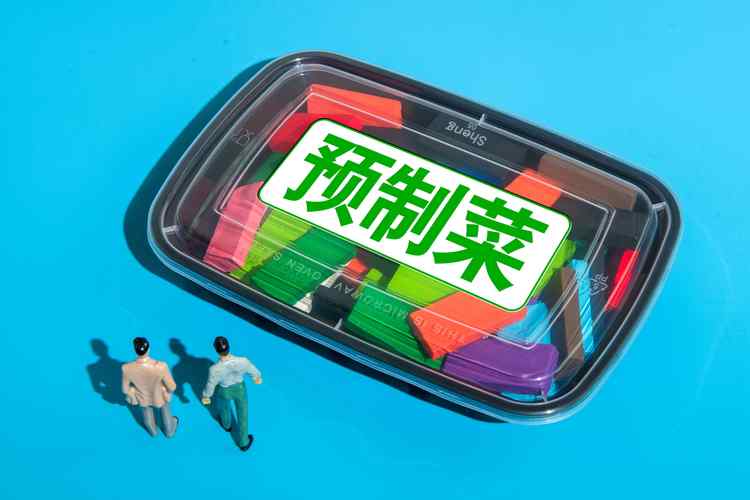 天邦股份股票分析：预制菜收入占比小，未来如何做大做强？