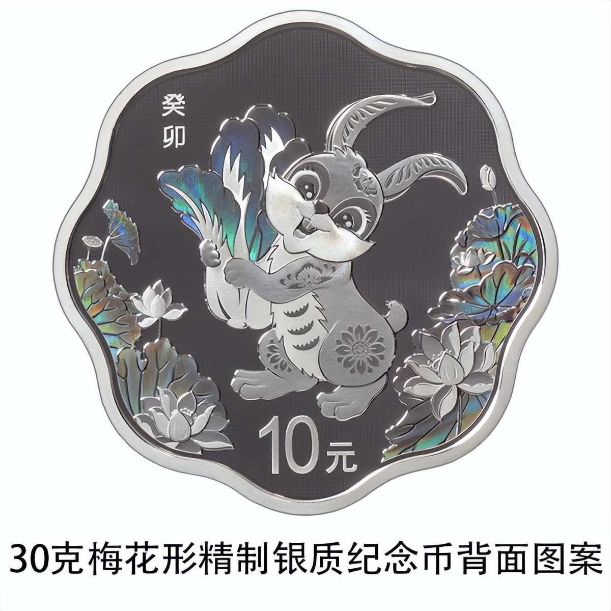 广州金银币交易市场在什么位置_2023中国癸卯兔年金银纪念币发行量_2023中国癸卯兔年金银纪念币图案