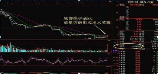 跌停板出货策略_股票放量下跌换手率高_庄家出货手法