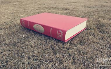 增值税3%征收率怎么算?附计算题示例