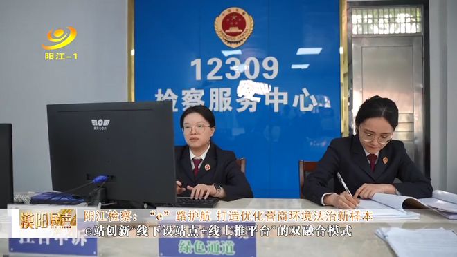 优化营商环境法治服务监督e站_阳江市e站平台搭建_优化营商环境典型案例