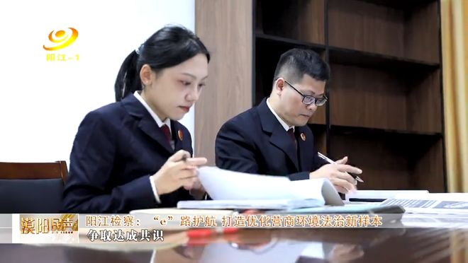 优化营商环境法治服务监督e站_阳江市e站平台搭建_优化营商环境典型案例
