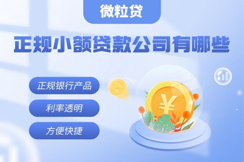 小额贷款实在无力偿还怎么办_微粒贷介绍_安全靠谱小额贷款公司