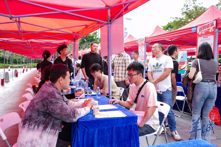 2024 河北数字人才招聘会：大数据等领域岗位需求大